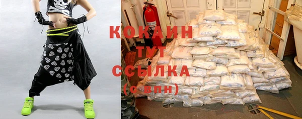 стаф Богородск